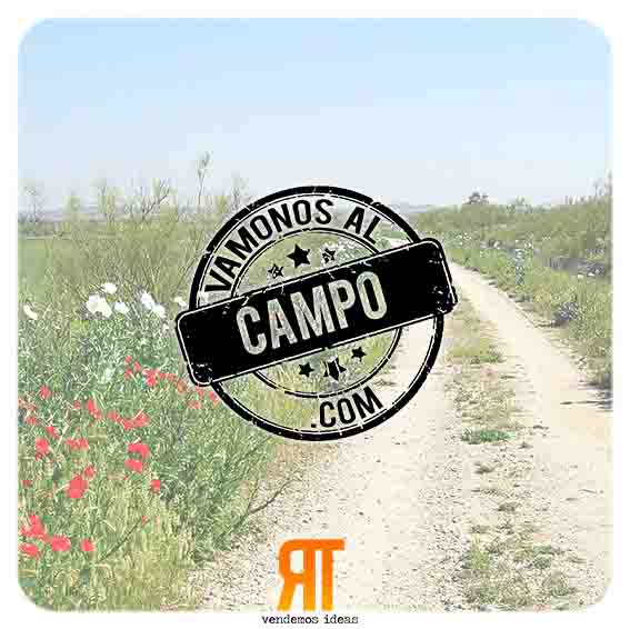 VamonosAlCampo